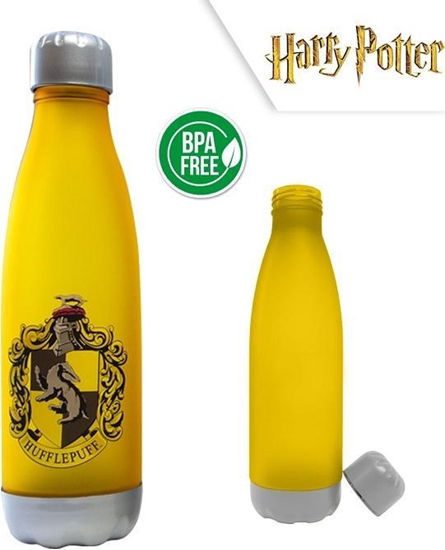 Picture of Kids Euroswan BIDON HARRY POTTER PP 650ML HPRJV632