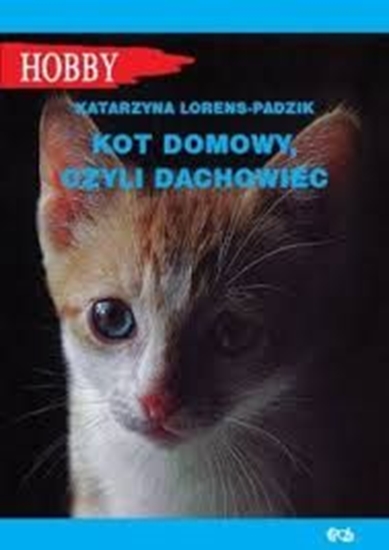 Изображение Kot domowy czyli dachowiec