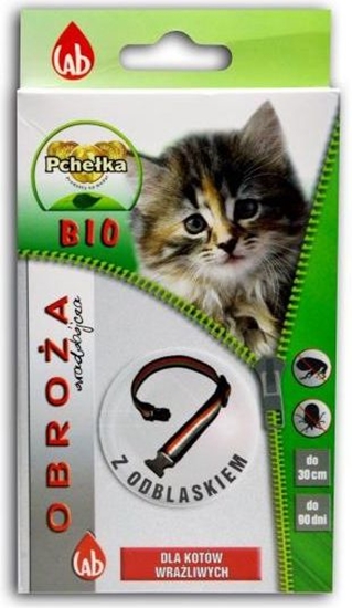 Picture of LAB PCHEŁKA BIO OBROŻA KOT ODBLASK 30cm