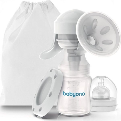 Изображение Babyono Anatomy