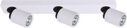 Изображение Lampa sufitowa Italux Lucien FH31313A11