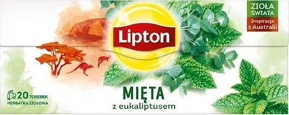 Attēls no Lipton LIPTON_Herbata ziołowa Mięta z Eukaliptusem 20 torebek 26g