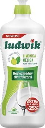 Изображение Ludwik PŁYN DO NACZYŃ DUET ŚWIEŻOŚCI LIMONKA Z MELISĄ 900g