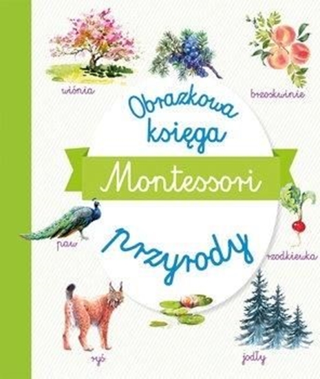 Изображение Montessori. Obrazkowa księga przyrody