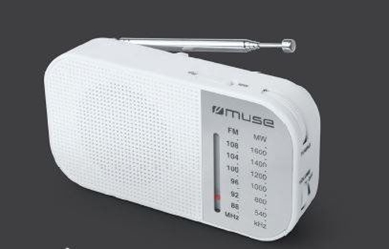 Picture of Radio Muse M-025 RW