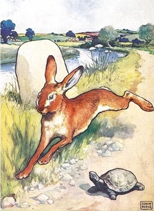 Attēls no Museums & Galleries Karnet B6 z kopertą The Hare and the Tortoise