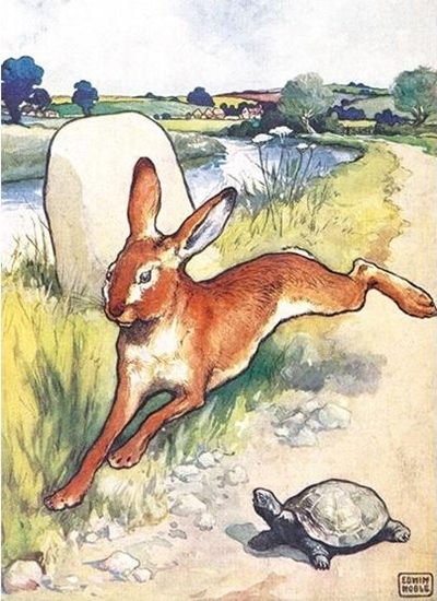 Изображение Museums & Galleries Karnet B6 z kopertą The Hare and the Tortoise