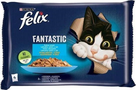 Picture of Nestle FELIX sasz.4x85g FANTASTIC RYBNE SMAKI ŁOSOŚ Z GŁADZICĄ w galaretce /12