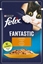 Attēls no Nestle FELIX sasz.85g FANTASTIC KURCZAK w galaretce /26