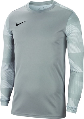 Изображение Nike Nike JR Dry Park IV koszulka bramkarska 052 : Rozmiar - 140 cm (CJ6072-052) - 23588_200797