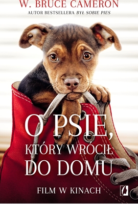 Picture of O psie, który wrócił do domu