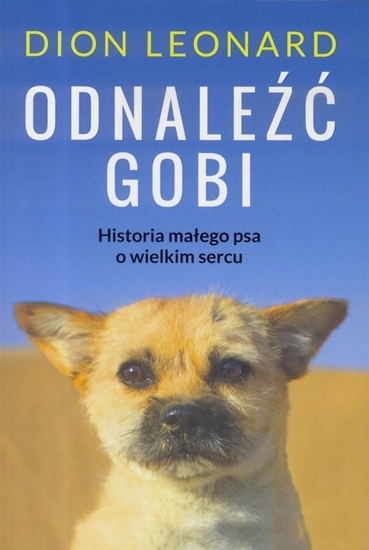 Picture of Odnaleźć Gobi. Historia malego psa o wielkim sercu