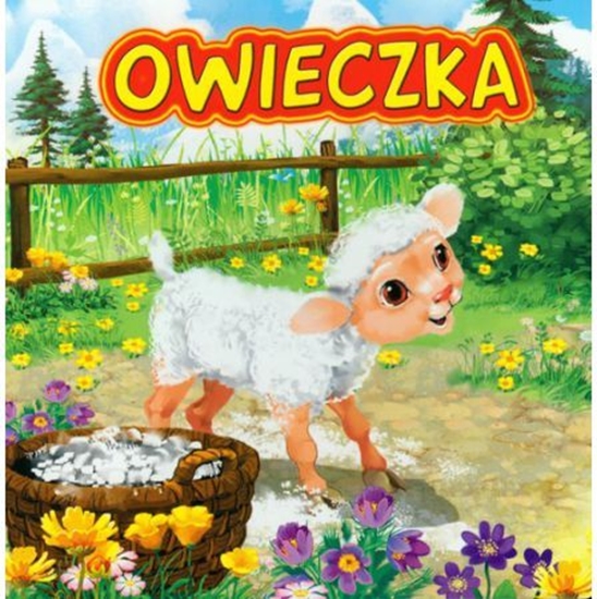 Picture of Owieczka