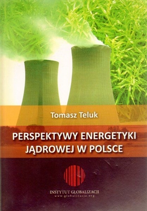 Изображение Perspektywy energetyki jądrowej w Polsce