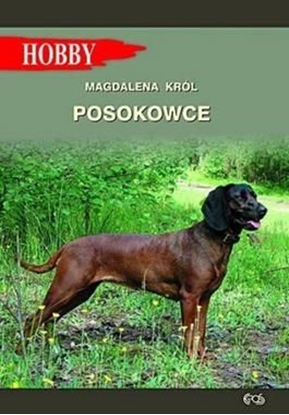 Изображение Posokowce