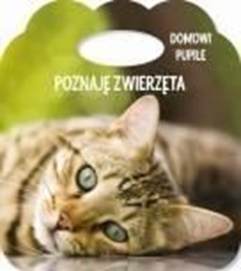 Picture of Poznaję zwierzęta. Ks. z uszkiem - Domowe pupile