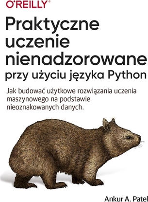 Picture of APN PROMISE Praktyczne uczenie nienadzorowane przy użyciu języ