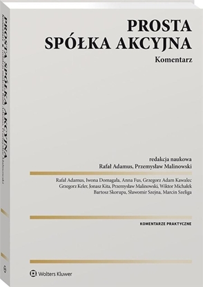 Изображение Prosta spółka akcyjna. Komentarz