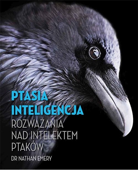 Picture of Ptasia inteligencja