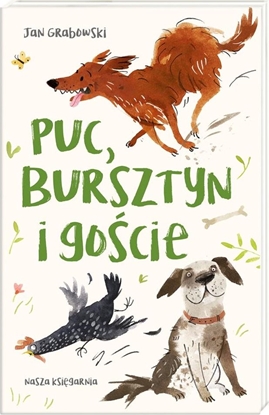 Изображение Puc, Bursztyn i goście