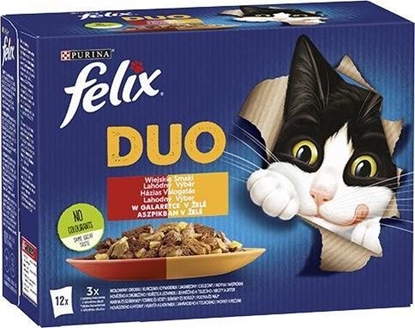 Picture of Purina Karma Felix Fantastic Duo wiejskie smaki 12x85g