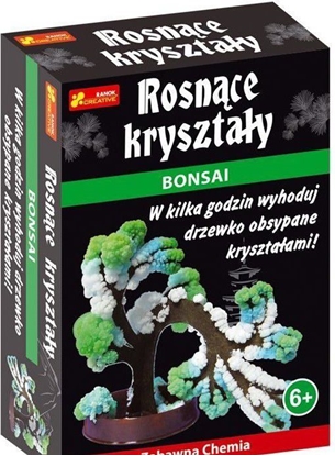 Изображение Ranok Bonsai