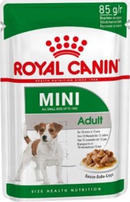 Picture of Royal Canin Royal Canin Mini Adult karma mokra dla psów dorosłych, ras małych saszetka 85g