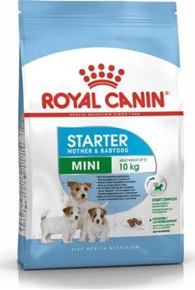 Attēls no Royal Canin SHN Mini Starter M&B 8 kg