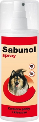 Attēls no SABUNOL SPRAY 100ml