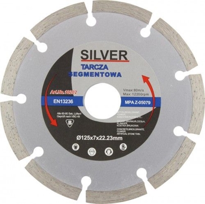 Picture of Silver TARCZA DIAMENTOWA SEGMENTOWA 125 x 22,2 x 7mm EX10202