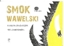 Attēls no Smok Wawelski