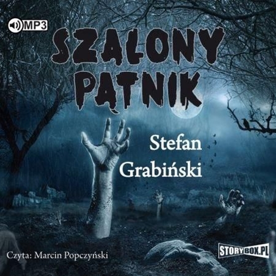 Изображение Szalony pątnik audiobook