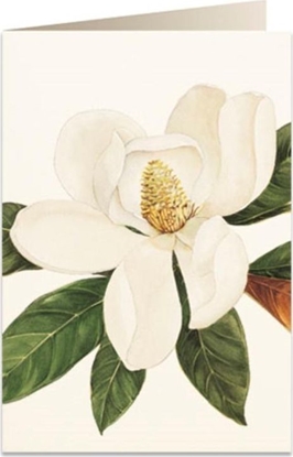 Picture of Tassotti Karnet B6 + koperta 5601 Kwiat magnolii