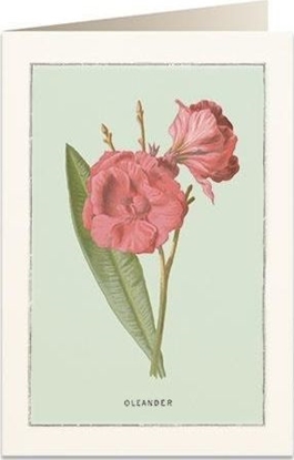 Picture of Tassotti Karnet B6 + koperta 6023 Oleander