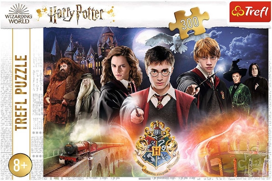 Изображение Trefl Puzzle 300 Tajemniczy Harry Potter TREFL