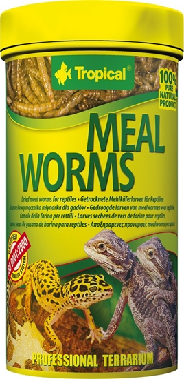 Picture of Tropical MEAL WORMS 250ml PUSZKA