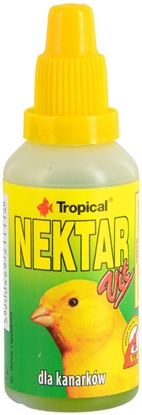 Picture of Tropical Nektar-Vit Dla Kanarków 30ml