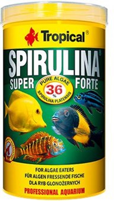 Изображение Tropical Super Spirulina Forte pokarm roślinny dla ryb 250ml/50g