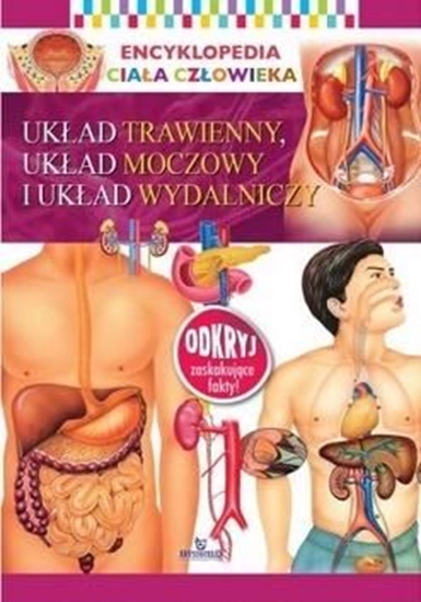 Picture of UKŁAD TRAWIENNY UKŁAD MOCZOWY I UKŁAD WYDALNICZY ENCYKLOPEDIA CIAŁA CZŁOWIEKA