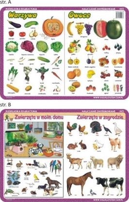 Изображение Visual System Podkładka edu. 003 - Warzywa, owoce, zwierzęta