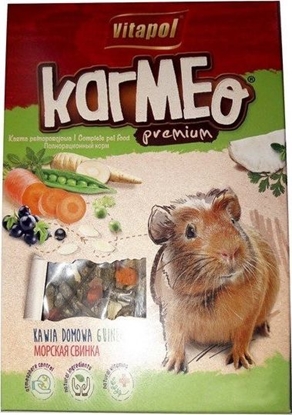 Picture of Vitapol  Karma Pełnoporcjowa dla kawii domowej 2,5kg