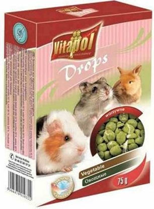 Изображение Vitapol DROPSY DLA GRYZONI WARZYWNE 75g