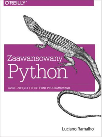 Picture of Zaawansowany Python. Jasne, zwięzłe i efek. prog.
