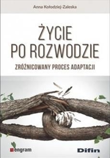 Изображение Życie po rozwodzie. Zróżnicowany proces adaptacji