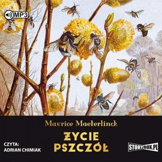 Picture of Życie pszczół audiobook