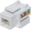 Picture of ZŁĄCZE KEYSTONE FX-RJ45-54*P100