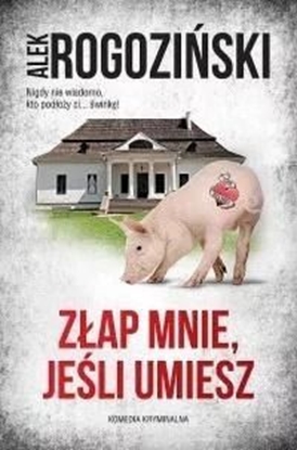 Picture of Złap mnie, jeśli umiesz