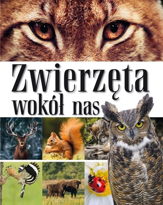 Picture of ZWIERZĘTA WOKÓŁ NAS. ENCYKLOPEDIA DLA DZIECI