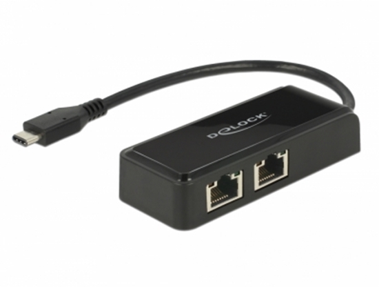 Picture of Delock Adapter SuperSpeed USB (USB 3.1 Gen 1) with USB Type-C™ male > 2 x Gigabit LAN 10/100/1000 Mbps