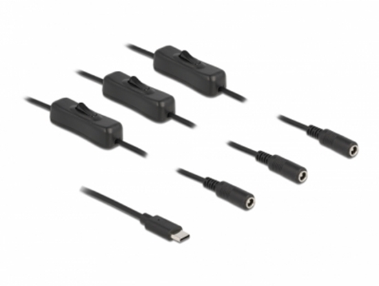 Picture of Delock Cable USB Type-C™ male to 3 x DC 5.5 x 2.1 mm female with switch 1 m